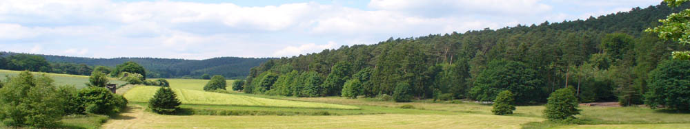 Bild 084_Panorama